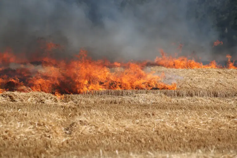 INCENDIO-768×512