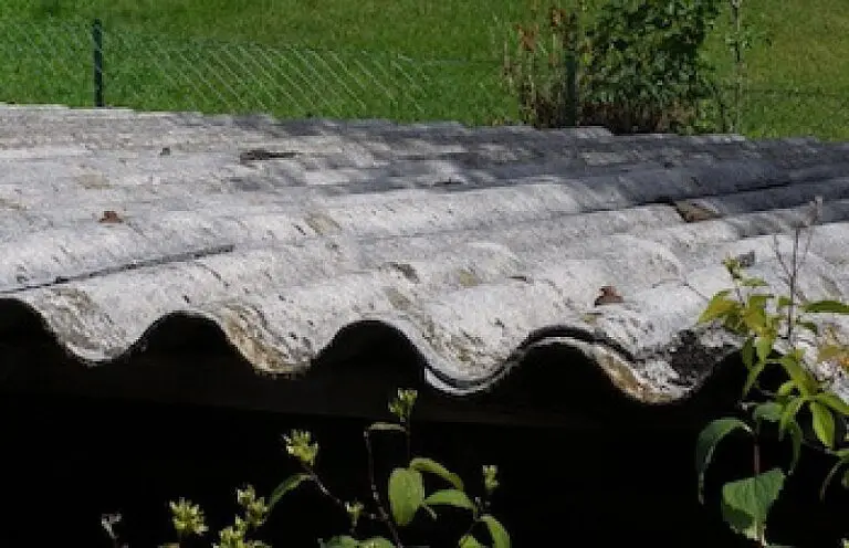 immagine-in-evidenza-1-1-768×496